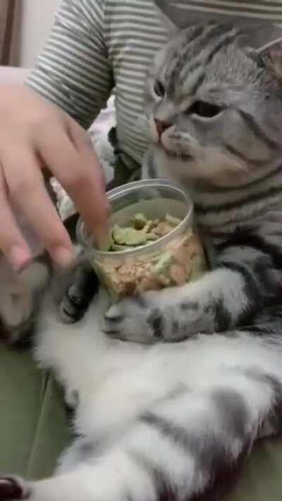 Well done hooman, gimme more fwoood!