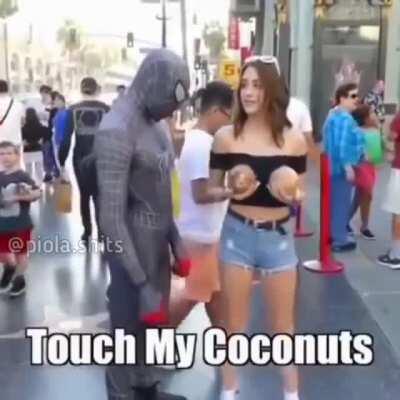 Spiderman caught. Credits to @piola.shits in Instagram.