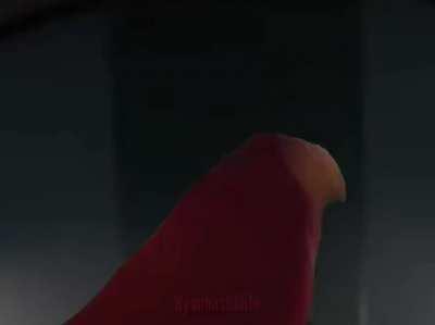 I don't know if this was posted here before