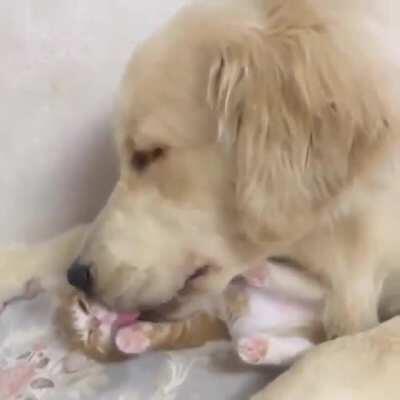 Best furrends ❤️