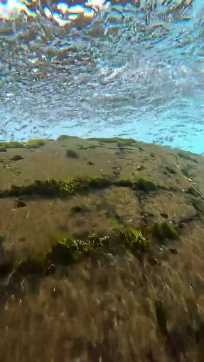 Under and Over -- Exploring Both Sides of Nature’s Wonder