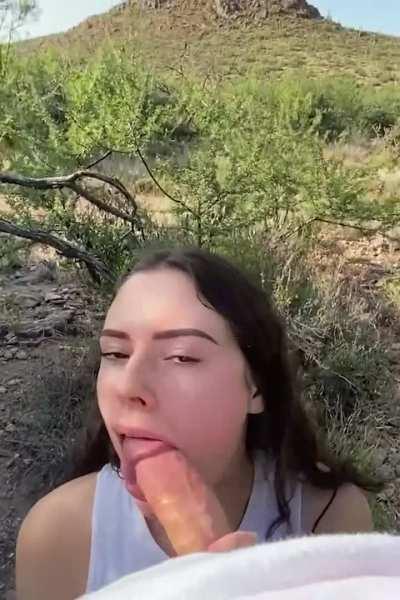 Please help me identify this cutie?