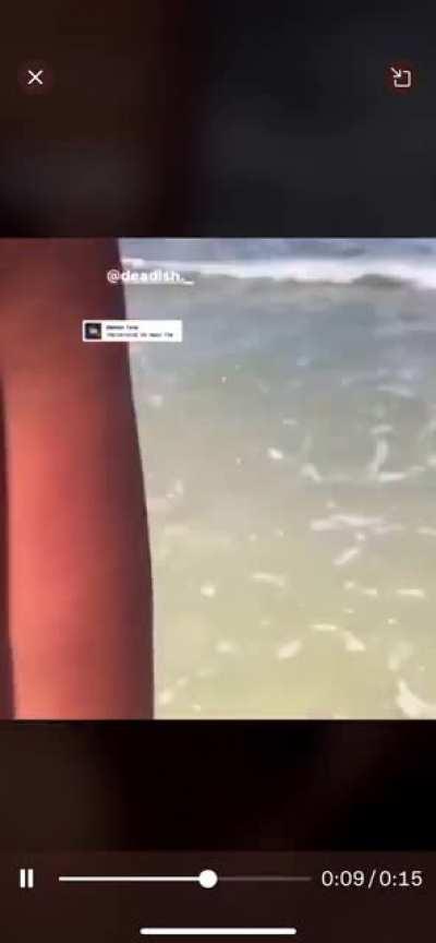 Bikini Fight in the Ocean