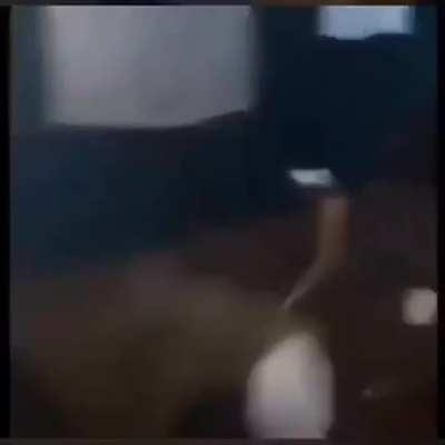 smurfdomuca - Video #4691