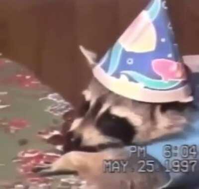 don't forget to say happy birthday to annabell