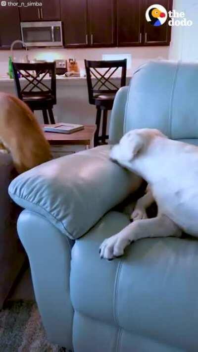 Best. Friends. Forever.