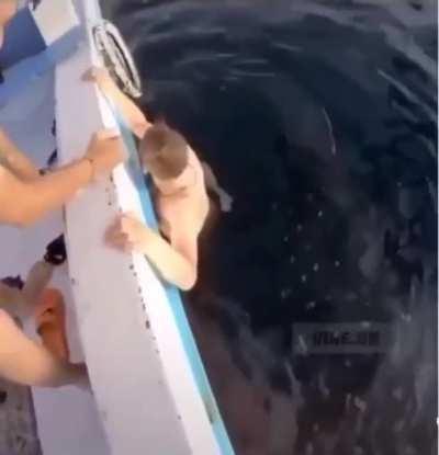 Lurking from underneath.