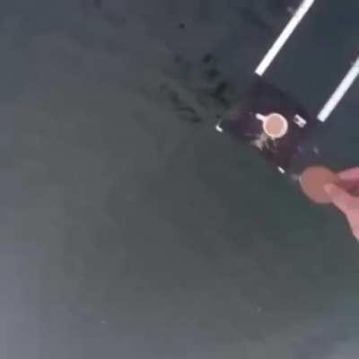 Damn he really did it