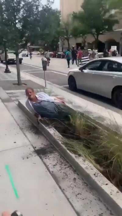 Just a beautiful vegetable. Keep scrolling.