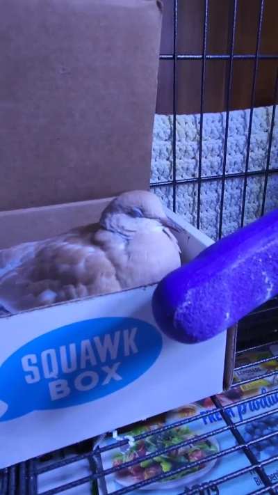 Is she tired or sick?