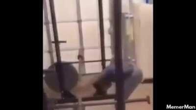 Eu não consigo parar de ver este video.