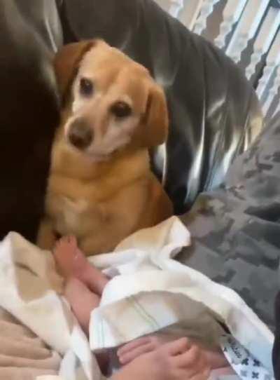 Baby needs a diaper change