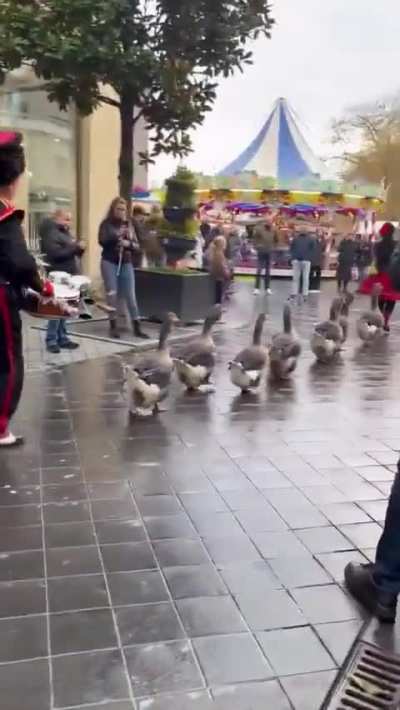 I’m a huge fan of whatever the heck this is...