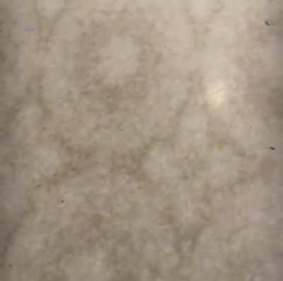 very accurate low dose psychedelic trip