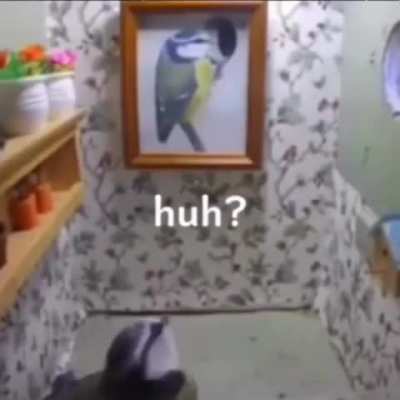 Wunk explores it's newly bought household