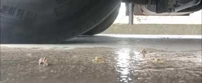 My favorite walkover of 2023