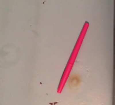 Just shapes and beats