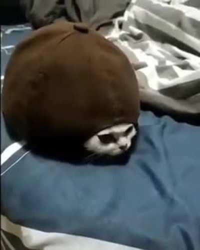 Unciobl, The invisible.