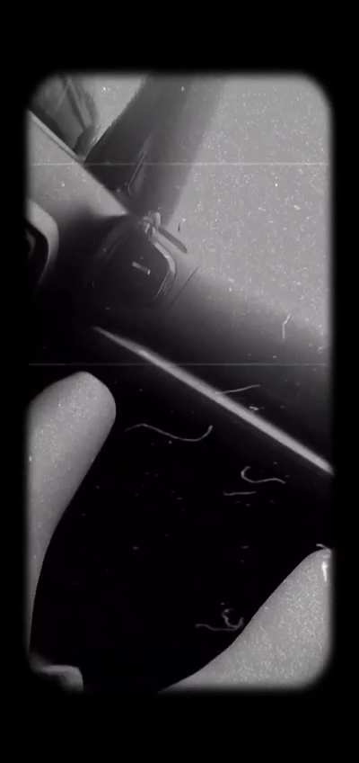 Anal Fingering GIF by justbeyou007