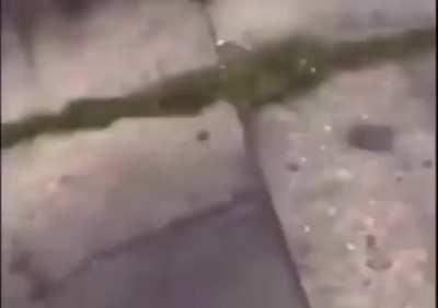 I wonder what the hell he took?