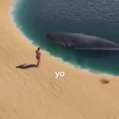 I'm 15 and this is yeet