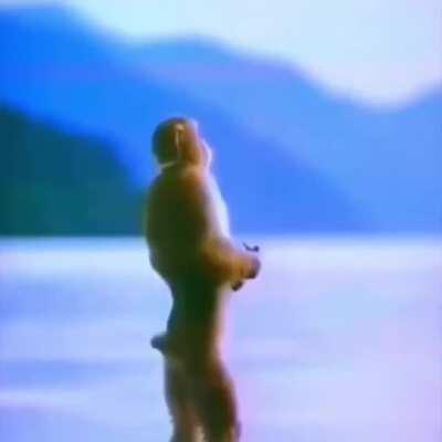 Embrace sharia monke