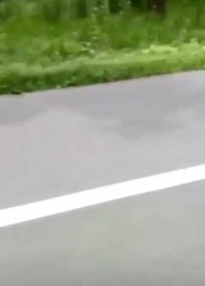 Never getting on a bike in the jungle again...