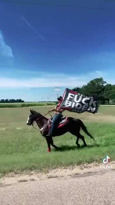 Don't do Spirit: Stallion of Cimmeron like this.