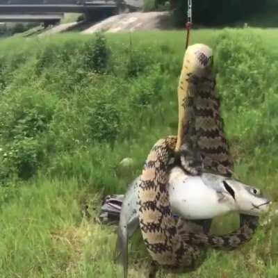 Fishing in the bayou