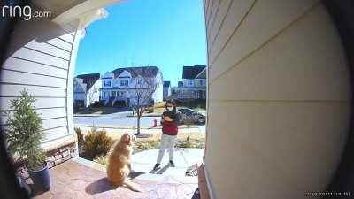 Watch dog golden vs Door Dash