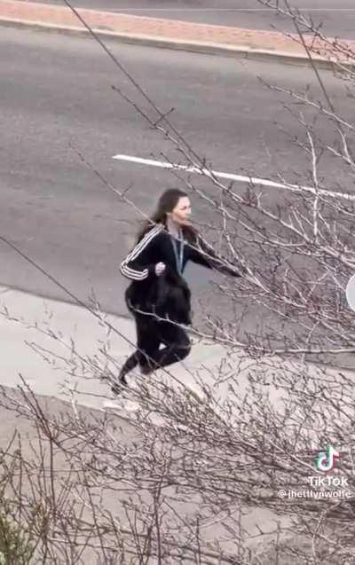 Woman flees after car crash