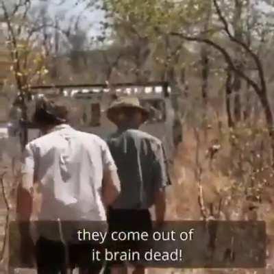 This is applicable to UFOs