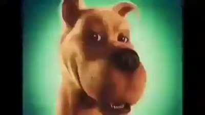 Doo Scooby
