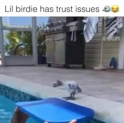 Let JJ try not to laugh at this African birb