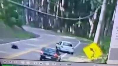 Riding on the oppositie side of the rode