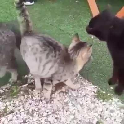 That was almost a catastrophe