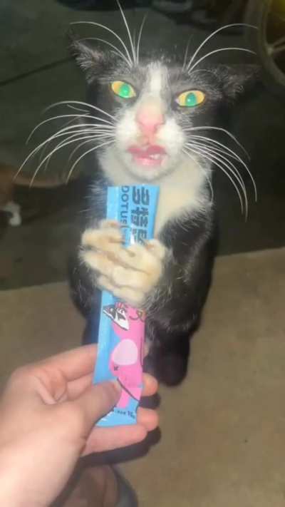 absolutely FLABBERGASTED 