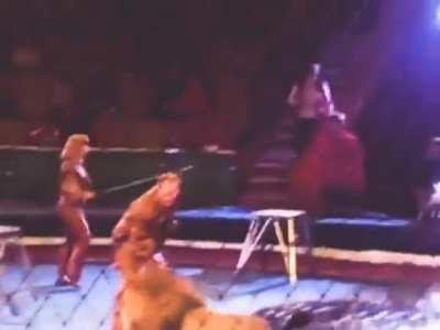 Trying to control a pride of Lions, instantly rewarded