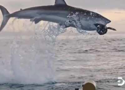 Shaek catching air. The first time I saw something like this it was like, 