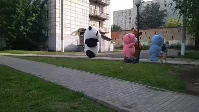 Russia: little girl gets surrounded by 4 bears on her way home
