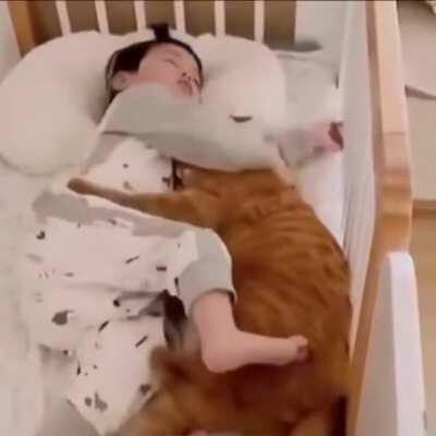 Hug me little hooman