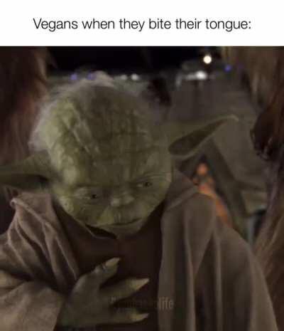 “What have I done?”