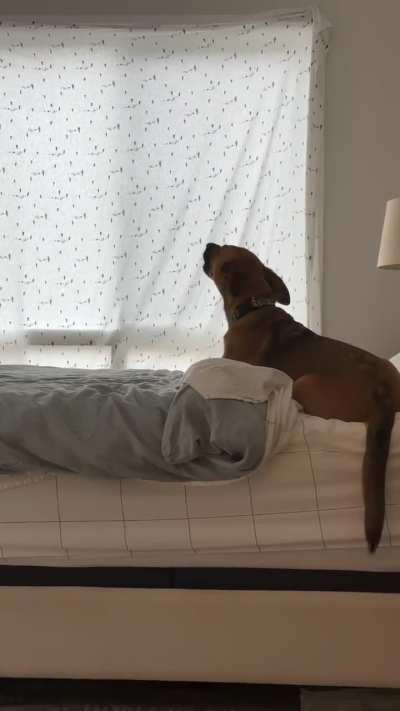 Cannot believe Dad had the audacity to kick her out of the bathroom