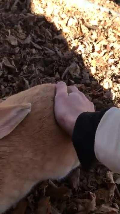 I’m blessed to have Mango, she’s my best friend