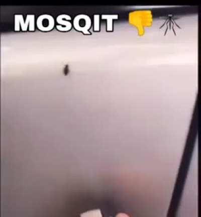 felipenis when lamok