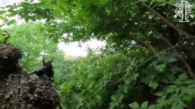 Ukrainian soldiers of the 8th Special Purpose Regiment ambushed Russian soldiers (most likely Marines) in the Kursk/Sumy direction. June 2025. [Published 10.06.2025]