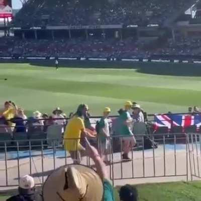 Cricket crowd pleaser