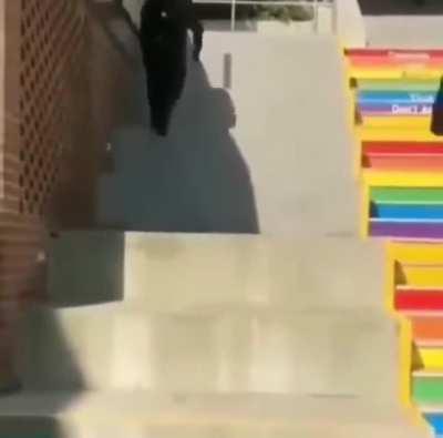 got banned from r/shitposting 😤😈