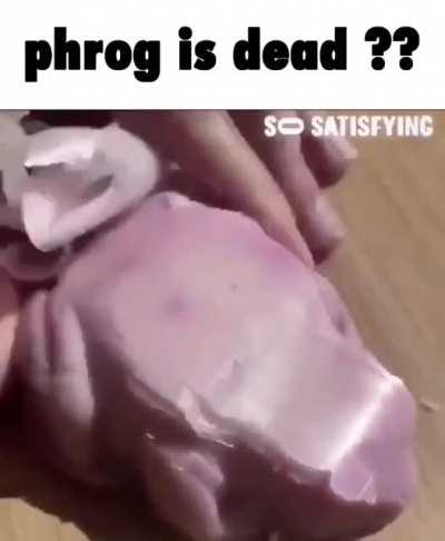 rest in phrog 😥