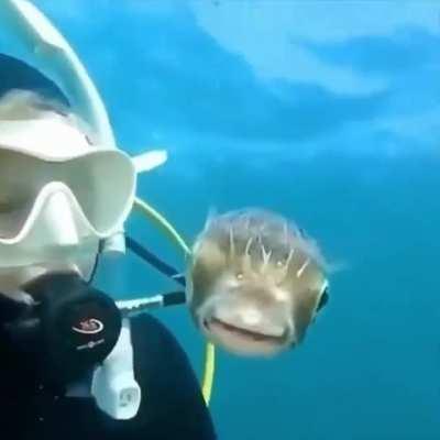 Fish: âAre we on tv?â 